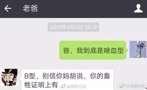 搞笑爆料新闻视频大全,笑料百出！搞笑爆料新闻视频大盘点